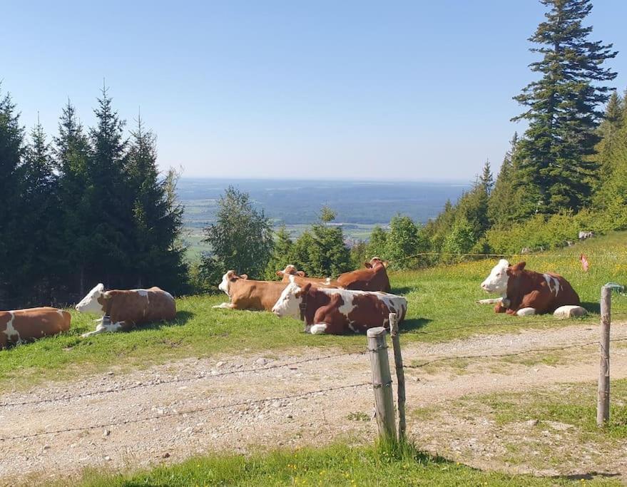 Romantisches Alpenchalet - Mit Sauna Und Kamin - Ruhig Und Zentral Bad Tölz Zewnętrze zdjęcie
